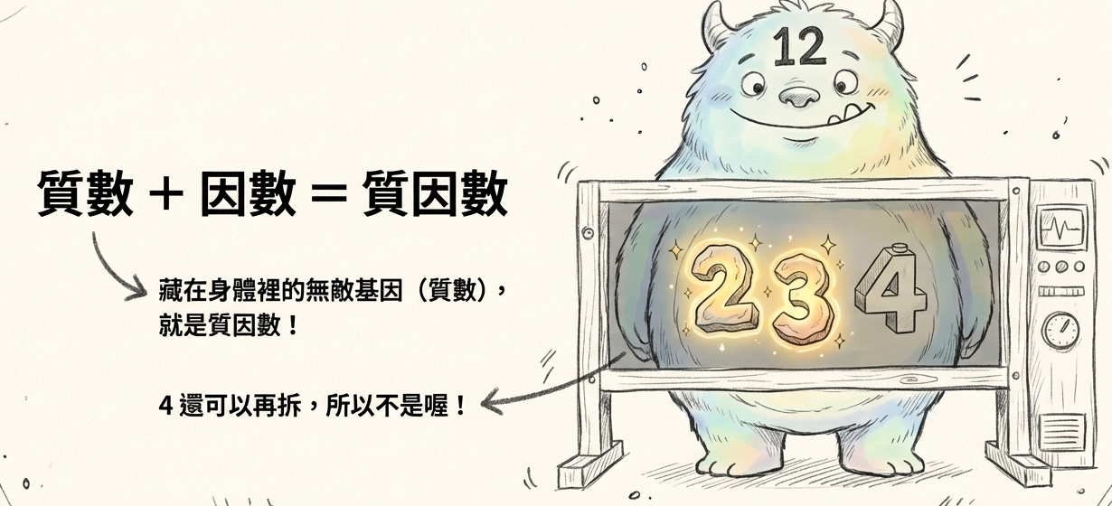 質因數X光透視手繪模型